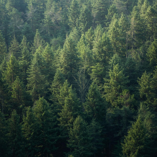 Duraksan Madencilik Çevre Dostu Üretim